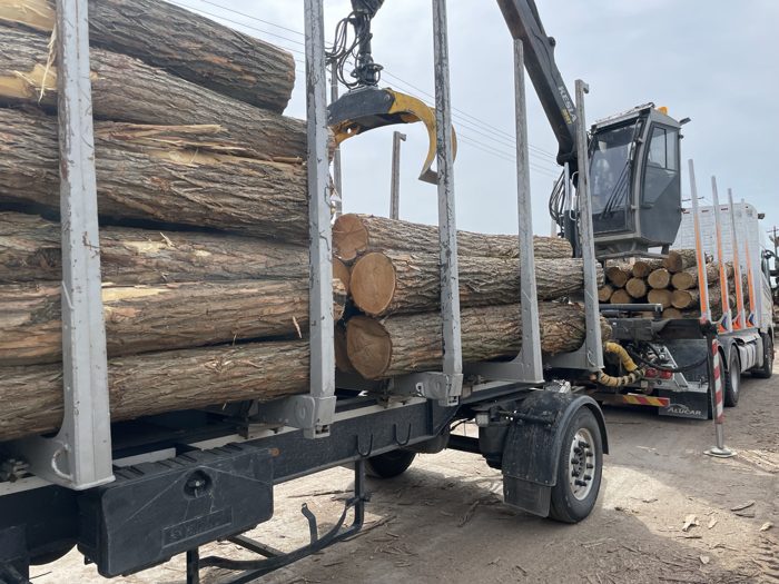 Rönkök szállítása / Log transport